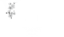 vallari-hotels-logo